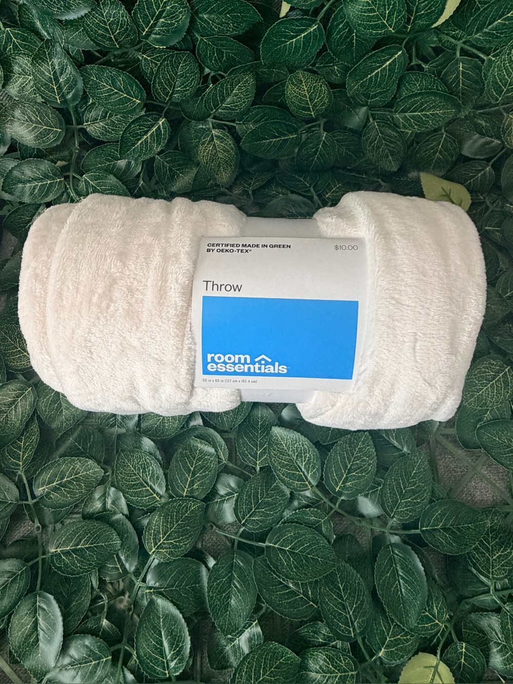 Room Essentials Cream Plush Throw Blanket